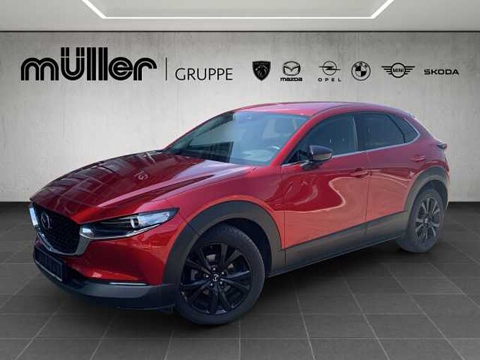 Mazda CX-30 G 122 PS 6GS HOMURA PRE-P