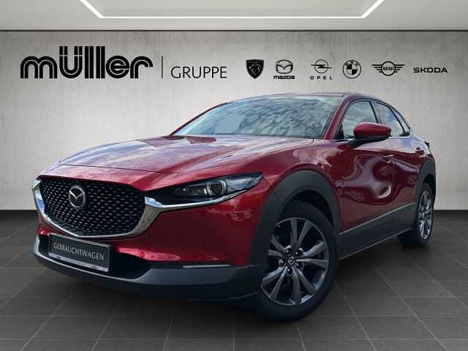 Mazda CX-30 X 186 PS 6GS SELECTION A18-B BOS DES-P ACT-P