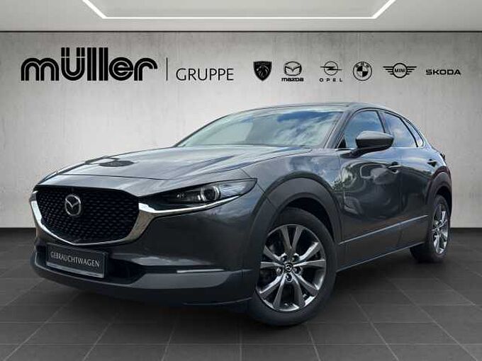 Mazda CX-30 X 186 PS 6AG SELECTION A18-B DES-P PRE-P