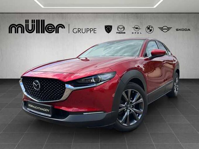 Mazda CX-30 X 186 PS 6AG AL-SELECTION A18-B DES-P