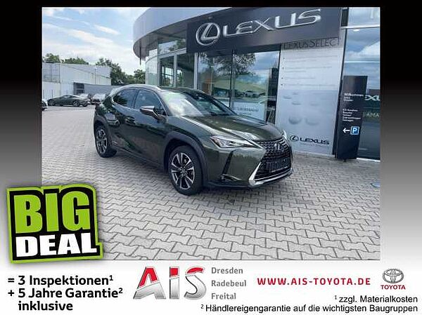 Lexus UX 250h Style Edition ACC FLA SpurH LM KAM LED Style Edition