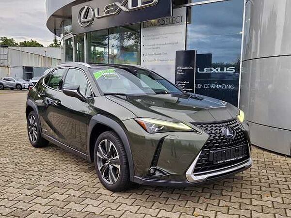 Lexus UX 250h Luxury Line ACC FLA HUD SpurH Leder LM