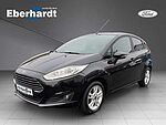 Ford Fiesta Champion