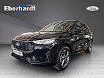 Ford Kuga ST-Line, AHK abnehmbar, Ganzjahresreifen