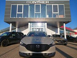 Mazda CX-30 2.5L e-SKYACTIV G 140ps Nagisa,Automatik,s