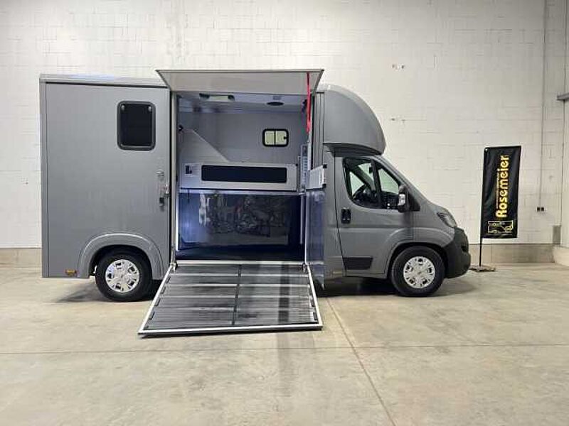 Fiat Compact Basic LKW