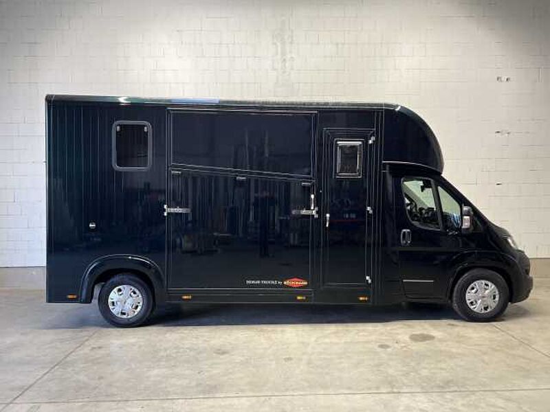 Fiat Böckmann Compact L+ Stall Tour LKW