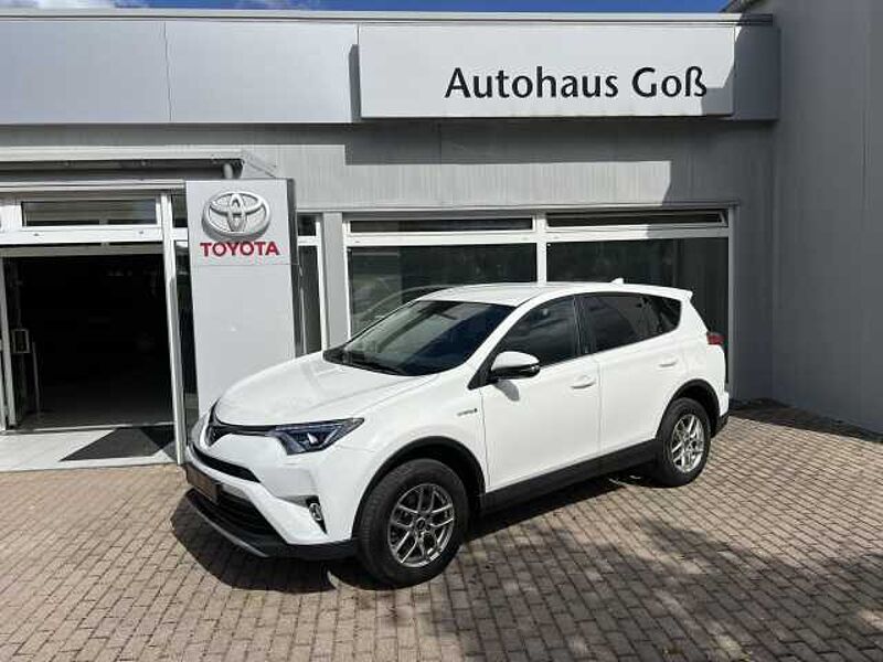 Toyota RAV4 Hybrid - Team Deutschland