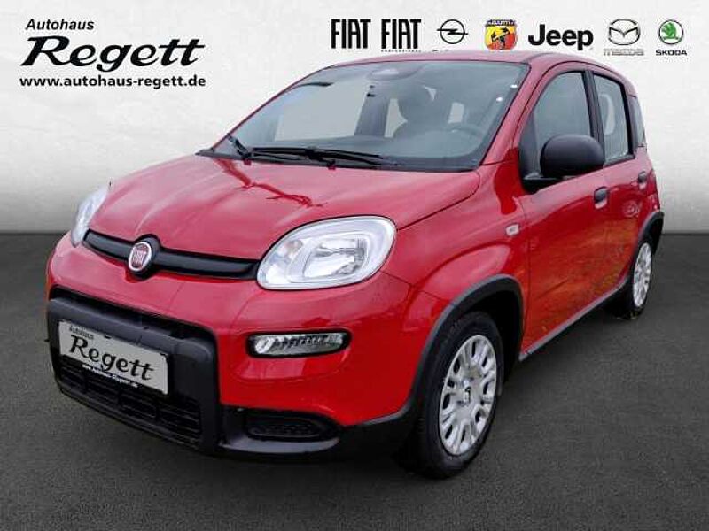 Fiat Panda 1.0 Mild-Hybrid EU6d *PDC*Klima*Bluetooth*Multif.Lenkrad* 1.0 Mild-Hybrid EU6d *PDC*Klima*Bluetooth*Multif.Lenkrad*