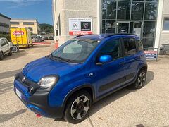 Foto Fiat Panda Cross 1.0 FireFly S&S Hybrid