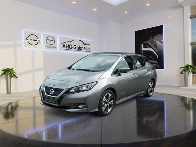 Nissan Leaf Tekna Option, Bose Sound System