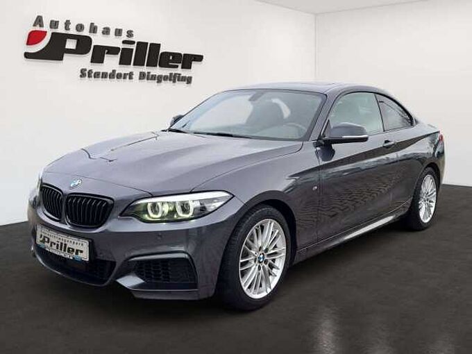 BMW 218 i Coupe M Sport/NAVI/LED/DAB/HIFI/RTTI/GSD/