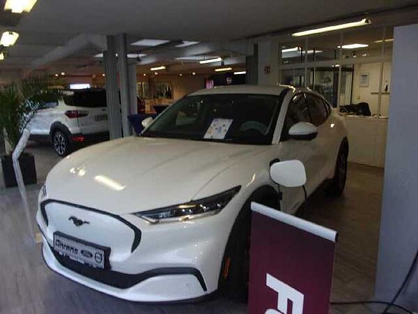 Ford Mustang Mach-E Basis *360°-eHeck-B&O* in 26871 Papenburg Ford Mustang Mach-E Basis *360°-eHeck-B&O*