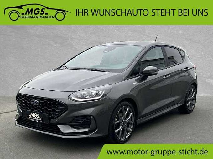 Ford Fiesta ST-Line 5-trg. WINTER #Metallic