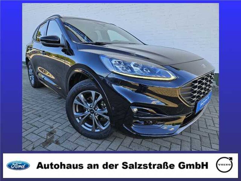 Ford Kuga PHEV ST-Line X*LED*RFK*ACC*B&O* Plug-In Hybrid X in 23879 Mölln Ford Kuga PHEV ST-Line X*LED*RFK*ACC*B&O* Plug-In Hybrid X