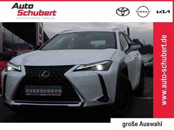 Lexus UX 250h Executive LED+SITZHZG.+KAMERA+TEMPOMAT+ Dyn. Kurvenlicht ACC Mehrzonenklima