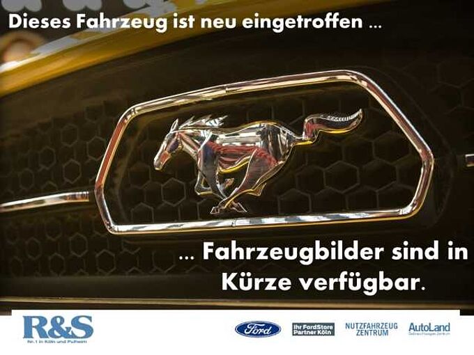 Ford Ranger Platinum Doppelkabine Hardtop+LED-Matrix+AHK+360°+Navi in 50769 Köln-Fühlingen Ford Ranger Platinum Doppelkabine Hardtop+LED-Matrix+AHK+360°+Navi