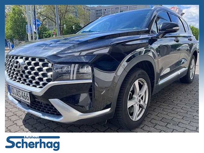 Fahrzeugbild für Hyundai Santa Fe 2.2 CRDi DCT Prime