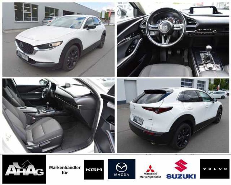 Mazda CX-30 2.0 e-SKYACTIV-X M-Hybrid AWD Homura *BOSE+360+LED*