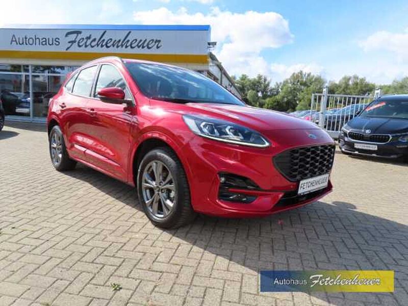 Ford Kuga 2.5 PHEV ST-Line  NAVI+LED+RFK+iACC+SHZ+AHK in 19057 Schwerin Ford Kuga 2.5 PHEV ST-Line  NAVI+LED+RFK+iACC+SHZ+AHK
