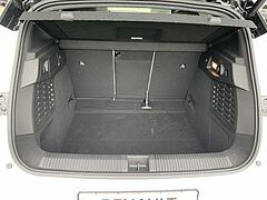 Renault Scenic Vorführfahrzeug