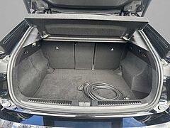 Renault Rafale Vorführfahrzeug