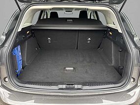Ford Focus Gebrauchtfahrzeug