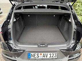 Renault Symbioz Tageszulassung