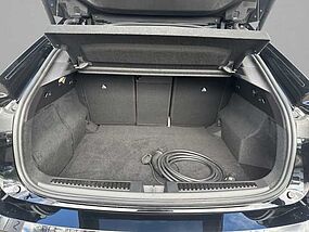 Renault Rafale Vorführfahrzeug