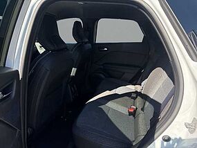 Renault Symbioz Tageszulassung