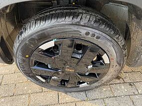 Dacia Spring Neufahrzeug