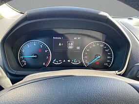 Ford EcoSport Gebrauchtfahrzeug