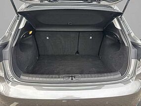 Fiat Tipo Gebrauchtfahrzeug