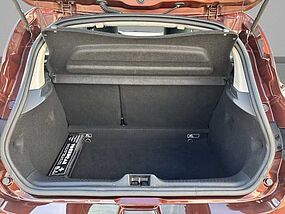 Renault Clio Gebrauchtfahrzeug