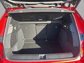 Renault Scenic Neufahrzeug