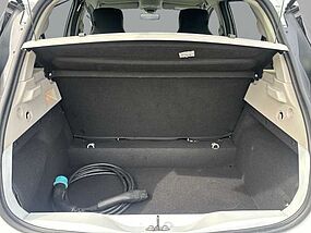 Renault Zoe Vorführfahrzeug