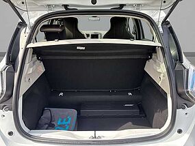 Renault Zoe Vorführfahrzeug