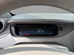 Renault Zoe Vorführfahrzeug