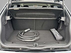 Renault Twingo Vorführfahrzeug