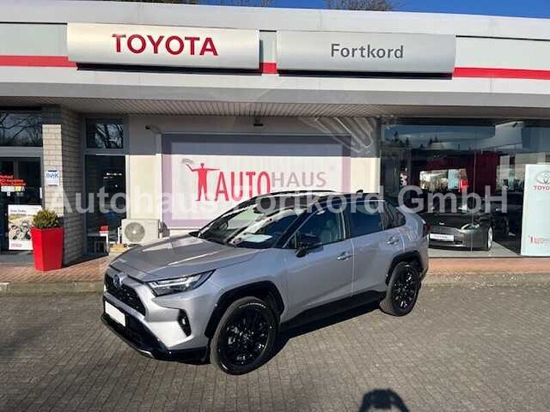 Toyota RAV4 Hyb.Style 4x2 -  LED, Navi,  JBL, PDC+360° - MY25