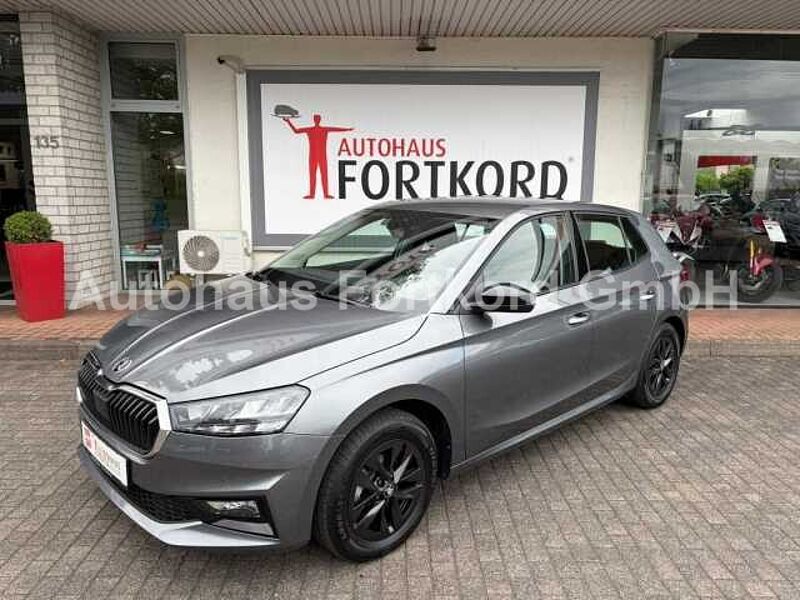 SKODA Fabia 1.0 TSI Young Edt. - SHZ, LED, BT, ...